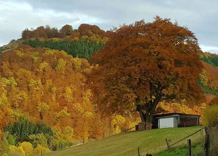 With 1 Bedroom Vakantiehuis